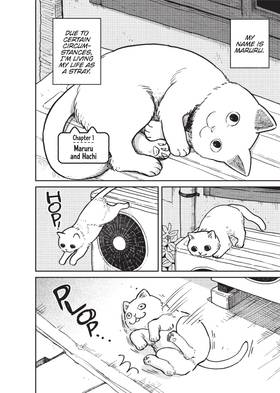 Read Cat Companions Maruru and Hachi  1 Page 4 in English