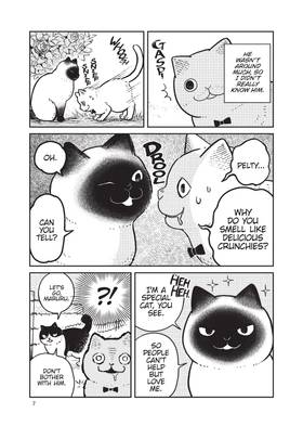 Read Cat Companions Maruru and Hachi  2 Page 9 in English