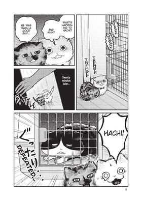 Read Cat Companions Maruru and Hachi  3 Page 10 in English