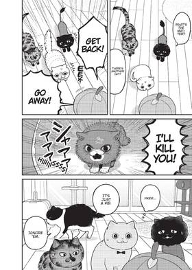 Read Cat Companions Maruru and Hachi  4 Page 10 in English
