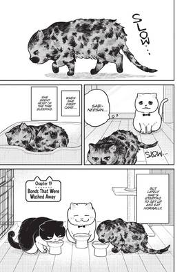 Read Cat Companions Maruru and Hachi  3 Page 5 in English