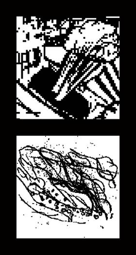 Read The Health Inspector   1 Page 5 in English