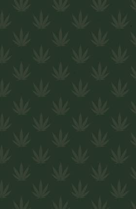 Read Scotch Mctiernan Versus Forces Of Evil  1 Page 2 in English