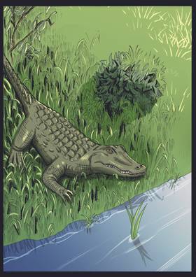 Read Guerrero Jaguar   1 Page 4 in Spanish