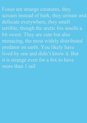 Read Many Tails Of A Fox  1 Page 2 in English