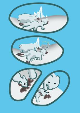 Read Many Tails Of A Fox  2 Page 6 in English