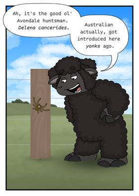 Read Huruhuru Hipi Station  9 Page 6 in English