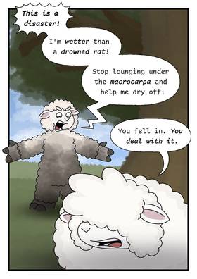 Read Huruhuru Hipi Station  15 Page 2 in English