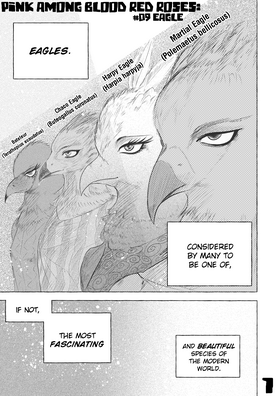 Read Pink among Blood Red Roses  9 Page 2 in English