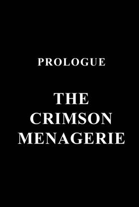 Read CONJUGATION  1 Page 3 in English