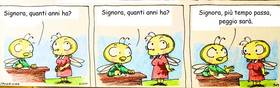 Read Api  145 Page 1 in Italian