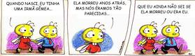 Read Abelhinhas  10 Page 1 in Portugese