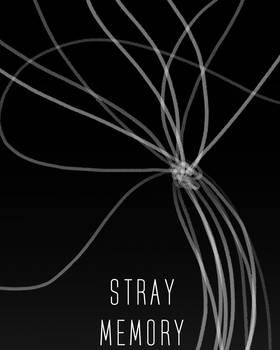 Read Stray Memory  24 Page 1 in English