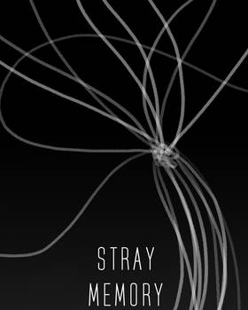Read Stray Memory  23 Page 1 in English