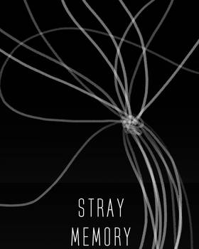 Read Stray Memory  25 Page 1 in English