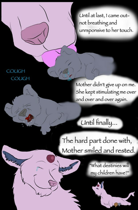 Read Welcome Home  1 Page 4 in English