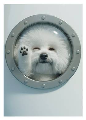 Read UFO GIRL 148  3 Page 3 in English