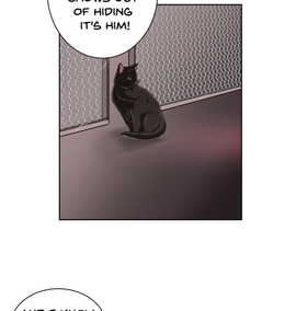 Read Menagerie  21 Page 3 in English
