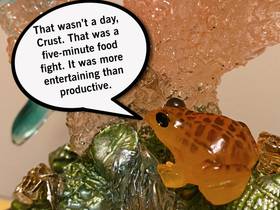 Read Crust The Frog   9 Page 10 in English