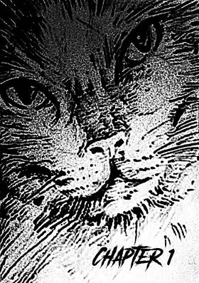 Read Shadow Liner  1 Page 2 in English