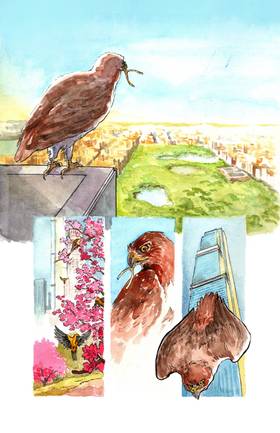 Read The Quarrel  1 Page 3 in English