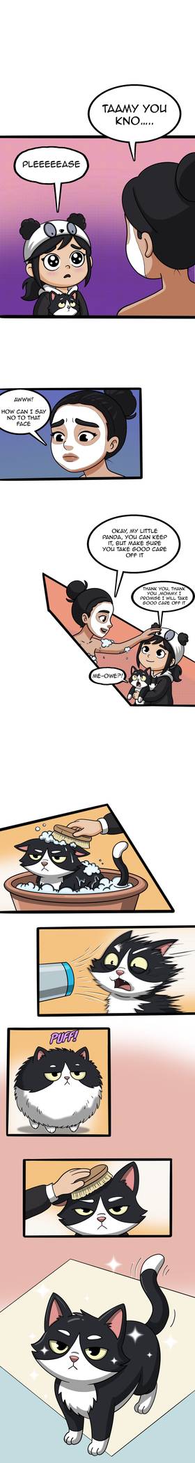 Read Ali’s family   5 Page 5 in English