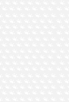 Read ADOPT A DOG  1 Page 2 in English