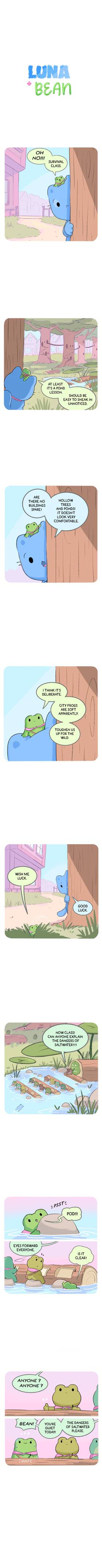 Pond Class 1.