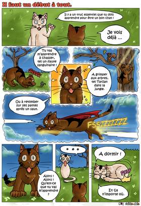 Read LOVE PUSSY  1 Page 3 in French