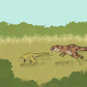Read Biome Rend  1 Page 8 in English
