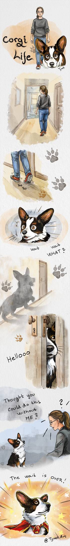 Read Life with corgi  1 Page 1 in Czech