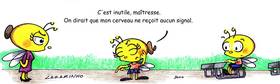 Read Abeilles  20 Page 1 in French
