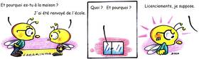 Read Abeilles  35 Page 1 in French