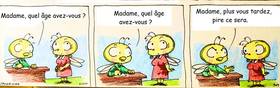 Read Abeilles  41 Page 1 in French