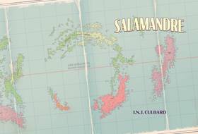 Read Salamandre  1 Page 4 in English
