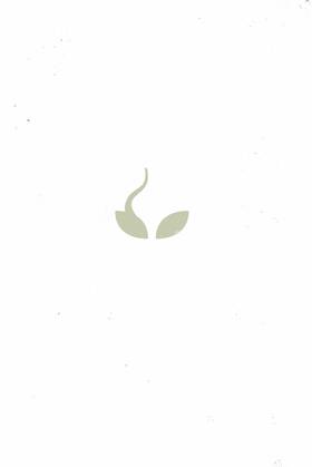 Read The Seeds  1 Page 6 in English