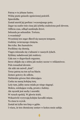 Read Chromatyka rozpadu  1 Page 7 in Polish