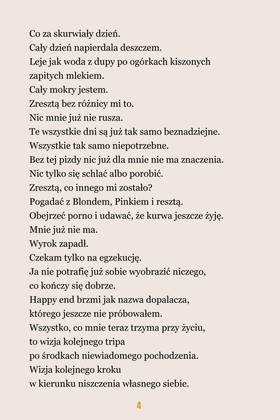 Read Everyday Hallucinations  7 Page 5 in Polish