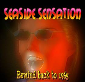 Read Seaside Sensation  1 Page 1 in English
