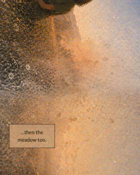 Read The Meadow  3 Page 8 in English