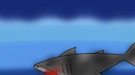 Read SHARK-KNIGHT  1 Page 9 in English
