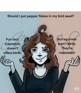 Read KrazySide  18 Page 7 in English
