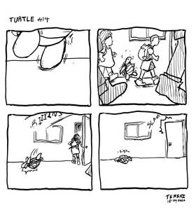Read Turtle  14 Page 1 in English