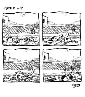 Read Turtle  17 Page 1 in English