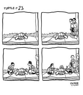 Read Turtle  23 Page 1 in English