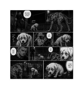 Read Gringo: A Journey to Freedom  2 Page 2 in English