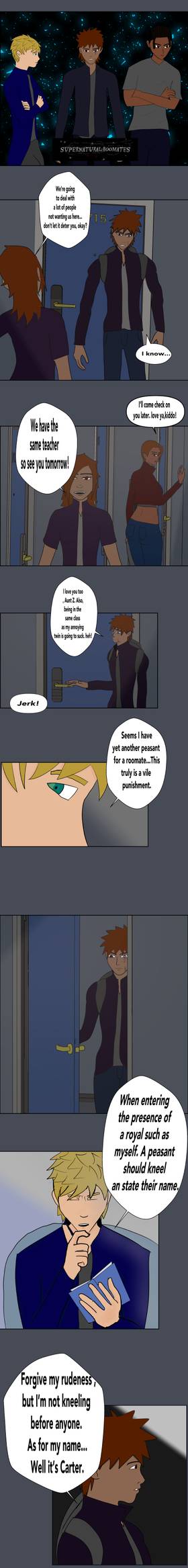 chapter 2: roommates