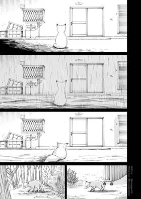Read A Fox and Tanuki’s Guide to Being Human  3 Page 10 in English