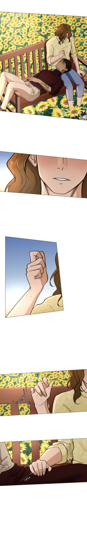 Read A Field of Sunflowers  51 Page 7 in English