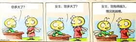 Read 蜜蜂 chinese  11 Page 1 in Chinese (Mandarin)
